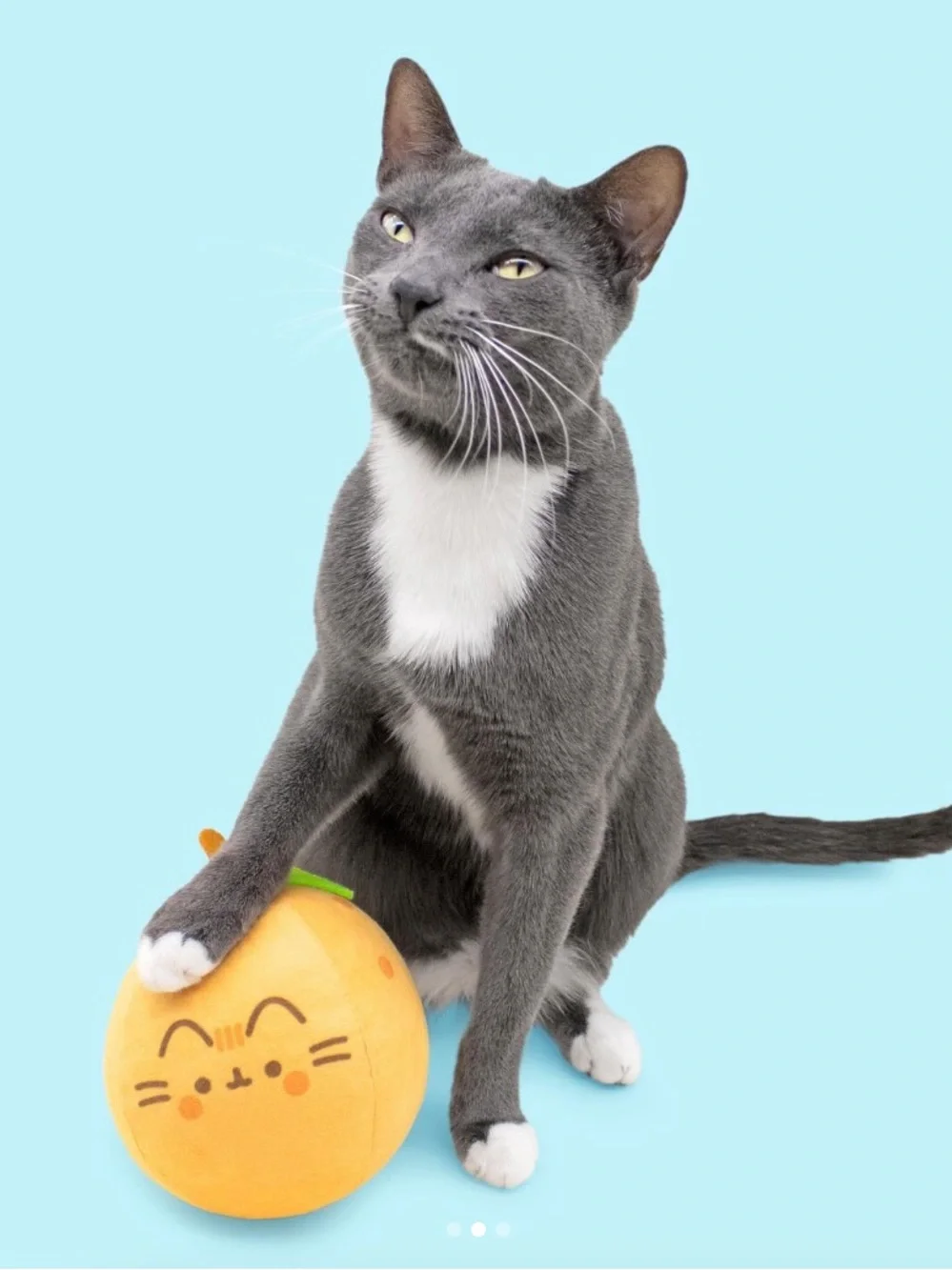 Plush Orange Fruit Toy with Green Leaf